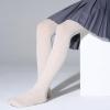 imageLOLANTA Girls Shimmer Tights Kids Semi Opaque Shiny Dance Stockings 2 Pack Ultra Soft Stretchy Pantyhose 312 YearsBeige Sliver