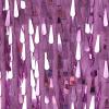 imageLOLANTA 2Pcs Girls Sequin Fringe Dress Salsa Cha Cha Tassel Latin Dance Dress ampamp Shorts Adjustable Spaghetti Strap 513 YrsPurple