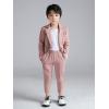 imageLOLANTA Boys Casual Suits Wedding Outfits Kids 2 Piece Gentleman Blazer and Pants Set DresswearPink