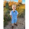 imageLOLANTA Boys Vest Tuxedo Suit Wedding Ring Bearer Outfits 4PCs Dress Clothes Vest Shirt Shorts Bow TieBlue Check