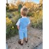 imageLOLANTA Boys Vest Tuxedo Suit Wedding Ring Bearer Outfits 4PCs Dress Clothes Vest Shirt Shorts Bow TieBlue Check