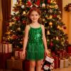 image:imageLOLANTA 2Pcs Girls Sequin Fringe Dress Salsa Cha Cha Tassel Latin Dance Dress amp Shorts Adjustable Spaghetti Strap 513 YrsGreen