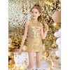 image:imageLOLANTA Girls Sequins Dance Clothes Dress 414 Yrs Sparkle Hip Hop Jazz Dance Outfit Sleeveless Top and ShortsGolden